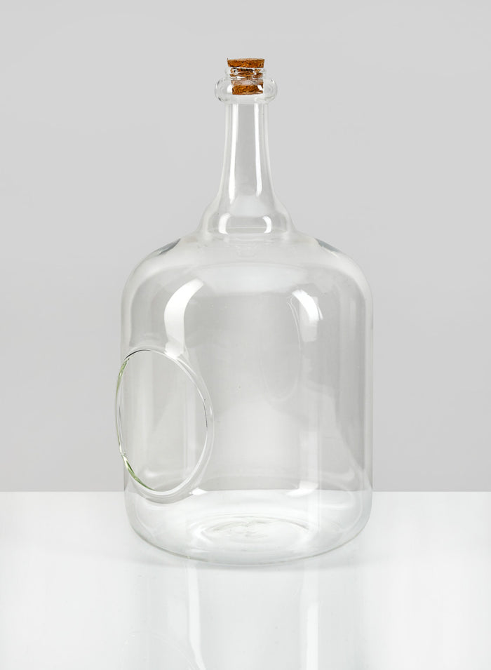 10.75in Tall Rio Bottle Glass Terrarium, Large Decor Jamali Garden