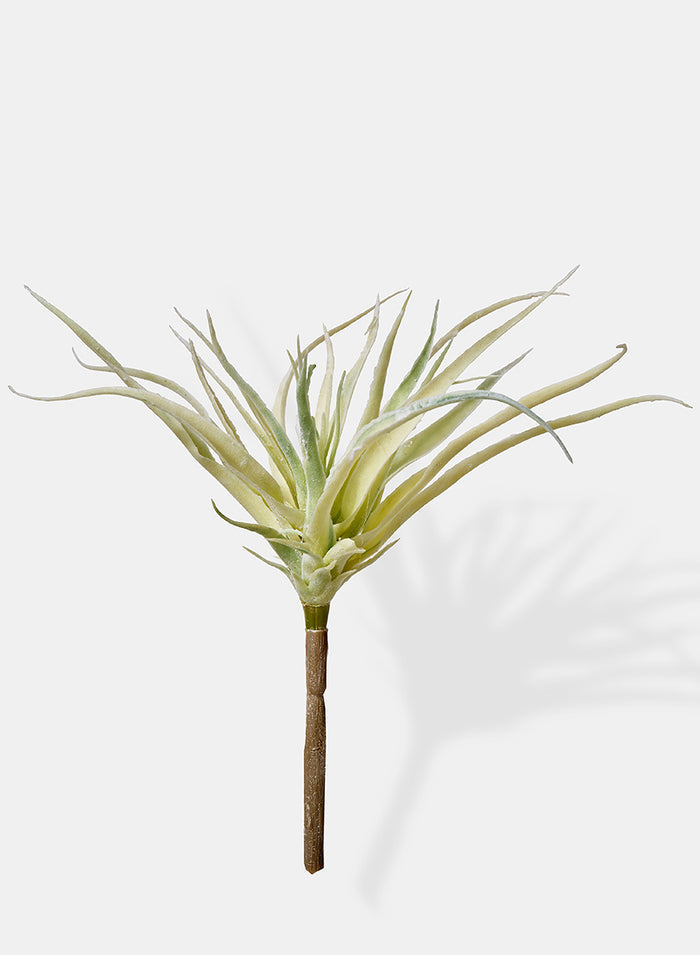 10in Long Mini Tillandsia, Case of 12 Decor Jamali Garden