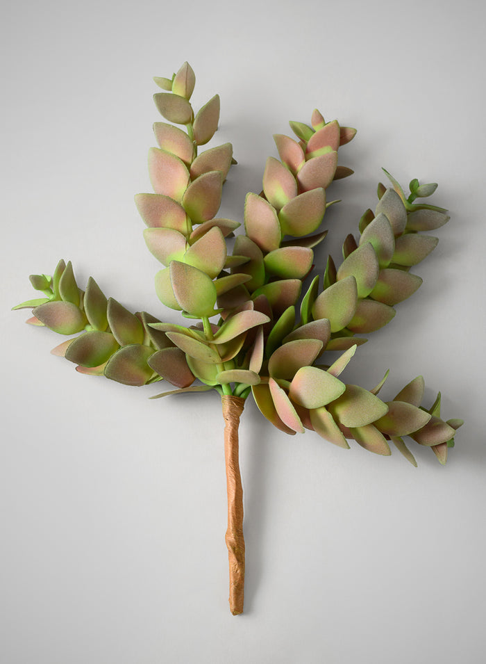 10in Long Trailing Succulent Pick, Case of 12 Decor Jamali Garden
