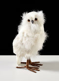 10in Tall White Owl Decor Jamali Garden