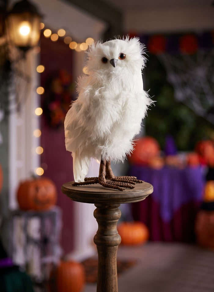 10in Tall White Owl Decor Jamali Garden