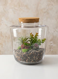 11in Tall Pantanal Glass Terrarium with Cork, Large Decor Jamali Garden