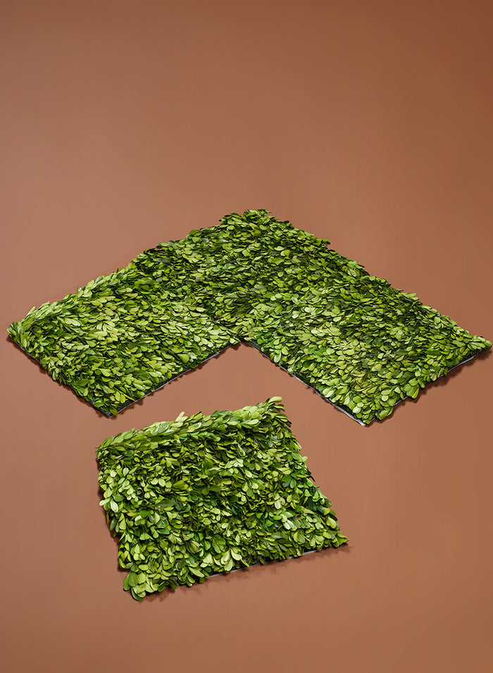 12in Square Preserved Boxwood Mat Decor Jamali Garden