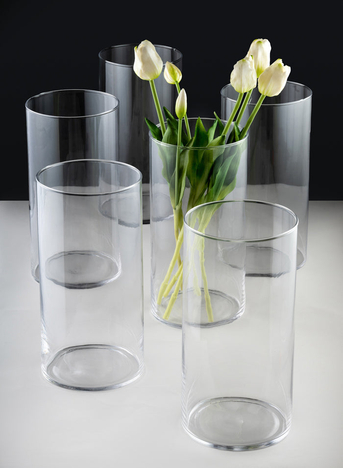 12in Tall Best Value Glass Cylinder Vase, Set of 6 Decor Jamali Garden