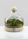 12in Tall Wide Copacabana Glass Terrarium, Large Decor Jamali Garden