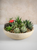 12in Wide Amadora Sand Tone Centerpiece Stoneware Bowl Decor Jamali Garden