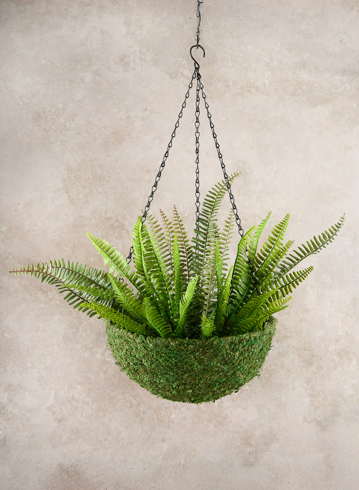 12in Wide Green Moss Basket Decor Jamali Garden