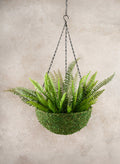 12in Wide Green Moss Basket Decor Jamali Garden