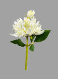 13in Long White Dahlia, Case of 12 Decor Jamali Garden