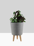 14.5in Tall Vaso Grey Ceramic Pot With Wood Legs Decor Jamali Garden
