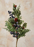14in Long Blueberry Cypress Pick, Case of 12 Decor Jamali Garden