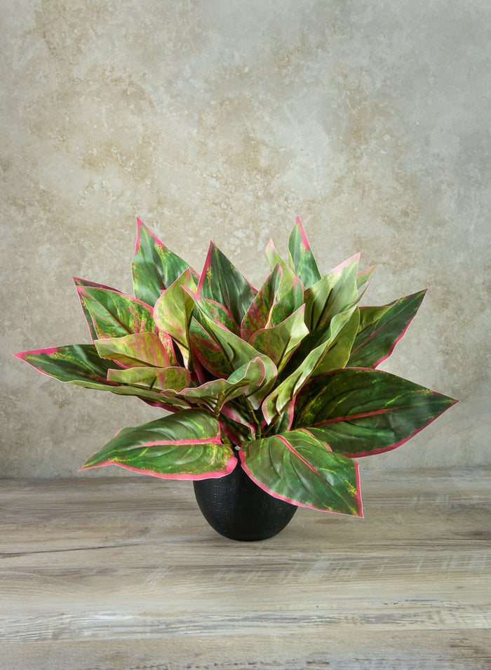14in Long Reach Touch Red-Green Dieffenbachia Stem Pick, Case of 12 Decor Jamali Garden