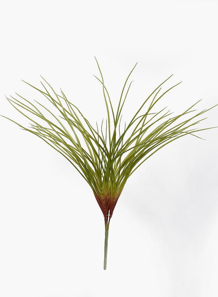 15 1/2in Long Barrow Grass Bush, Case of 12 Decor Jamali Garden