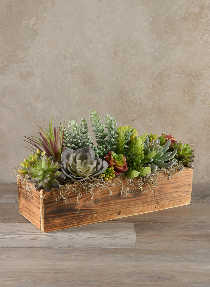 15in Long Finger Succulent Pick, Case of 6 Decor Jamali Garden