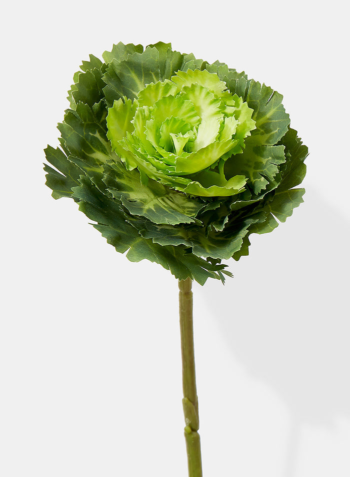 15in Long Green Ornamental Cabbage Pick, Case of 12 Decor Jamali Garden