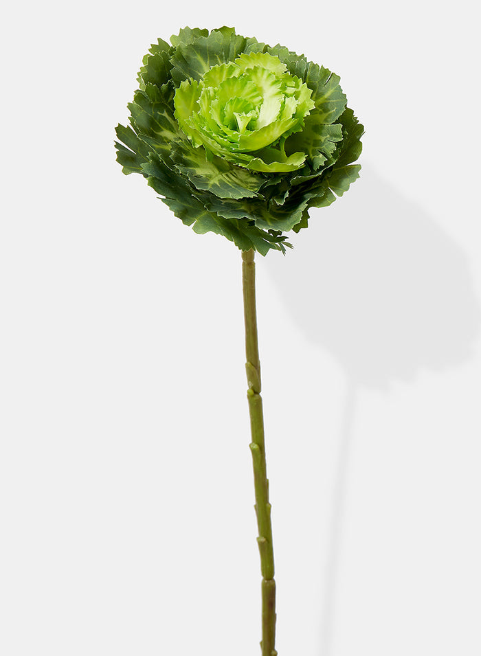 15in Long Green Ornamental Cabbage Pick, Case of 12 Decor Jamali Garden
