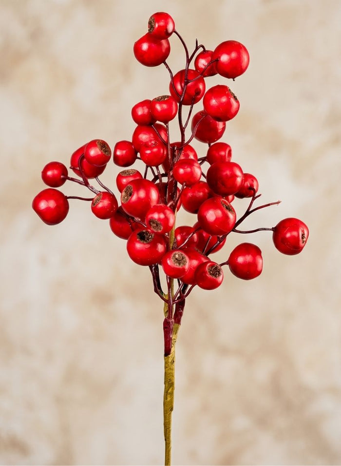16in Long Matte Red Berries Pick, Large, Case of 12 Decor Jamali Garden
