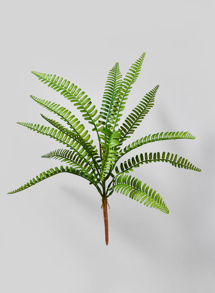17in Long Boston Fern Pick, Case of 12 Decor Jamali Garden