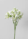 18in Long New Gypso Spray, Case of 12 Decor Jamali Garden
