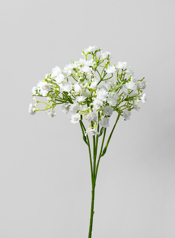 18in Long New Gypso Spray, Case of 12 Decor Jamali Garden