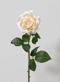 21in Long Cream Rose, Case of 12 Decor Jamali Garden