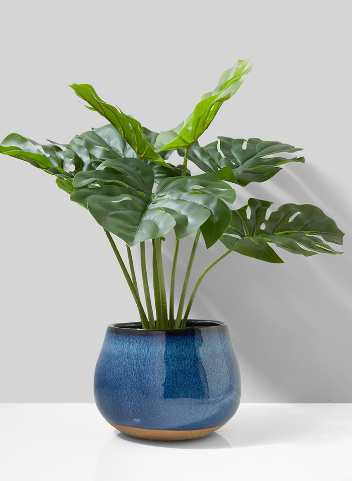 21in Long Monstera Plant In Cement Pot Decor Jamali Garden