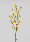 24in Long Blooming Forsythia Branch, Case of 12 Decor Jamali Garden