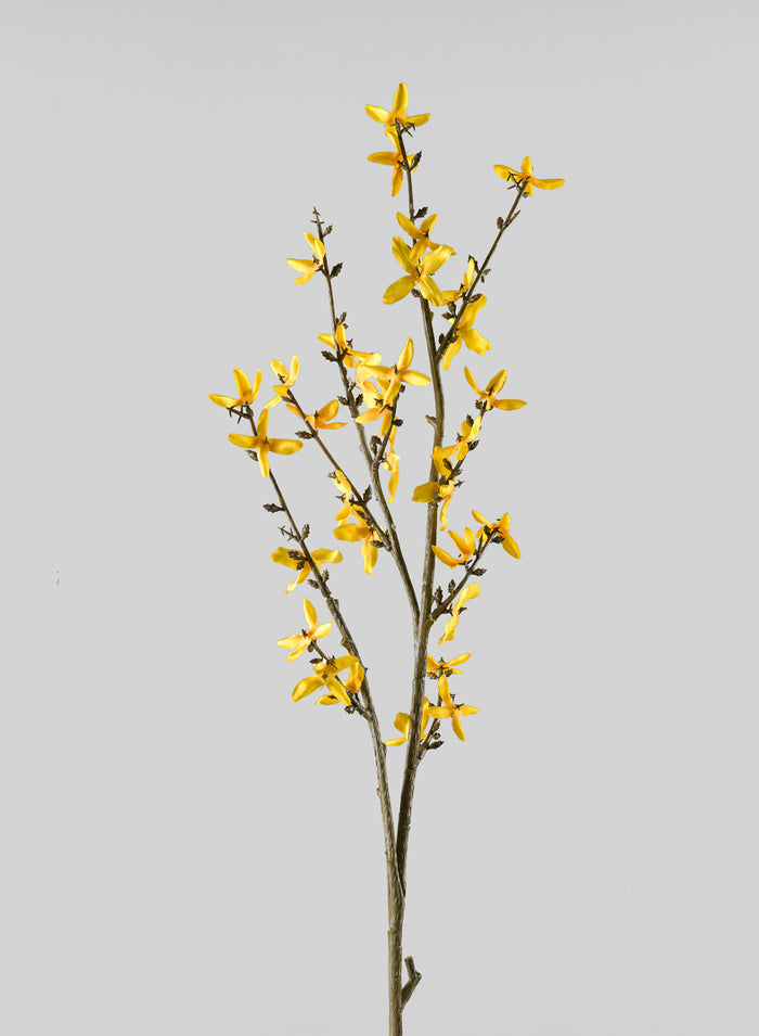 24in Long Blooming Forsythia Branch, Case of 12 Decor Jamali Garden