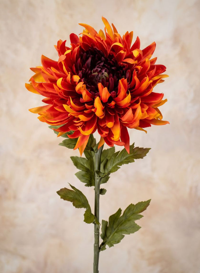 24in Tall Spider Chrysanthemum, Burned Orange, Case of 12 Decor Jamali Garden