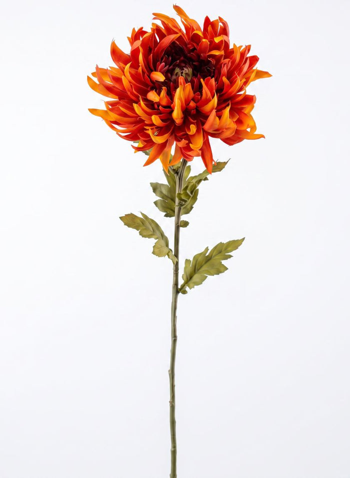 24in Tall Spider Chrysanthemum, Burned Orange, Case of 12 Decor Jamali Garden
