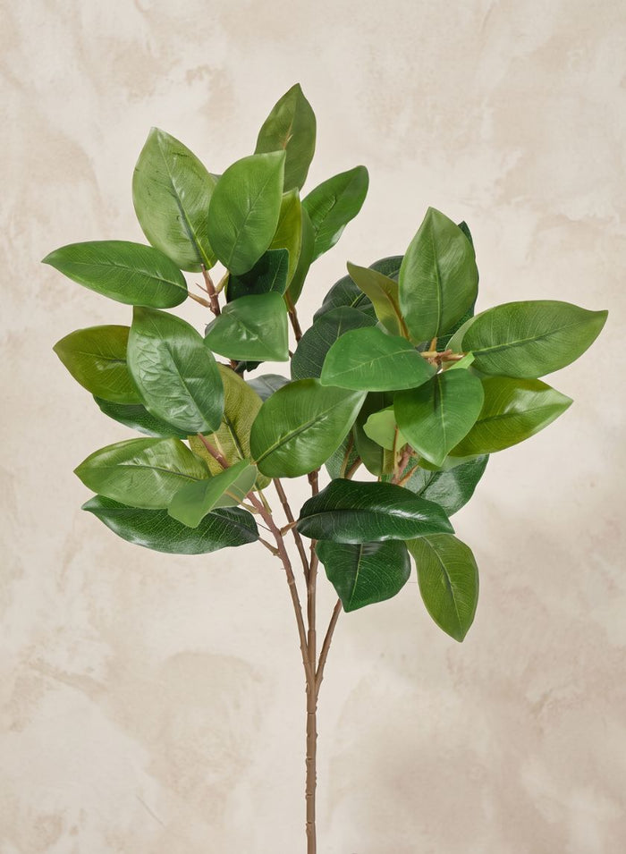 25in Long Green Magnolia Leaf Spray, Case of 12 Decor Jamali Garden