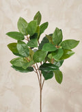 25in Long Green Magnolia Leaf Spray, Case of 12 Decor Jamali Garden