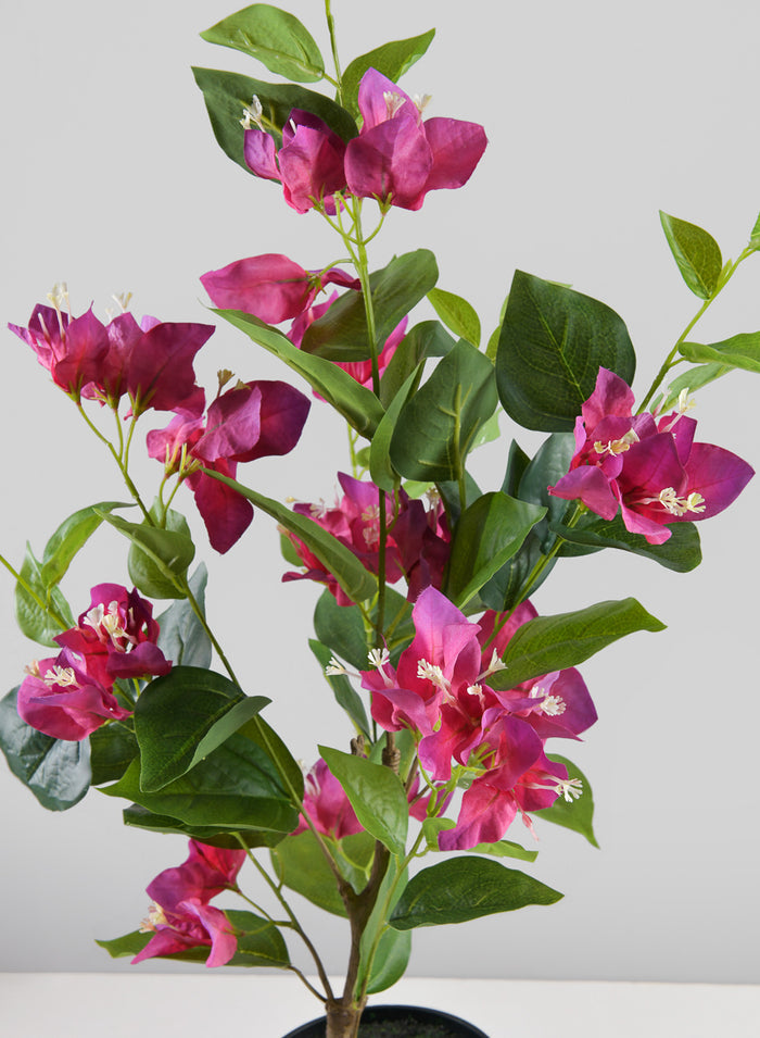 26in Long Blooming Red Bougainvillea In a Pot Decor Jamali Garden