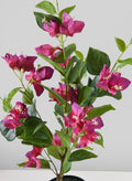 26in Long Blooming Red Bougainvillea In a Pot Decor Jamali Garden