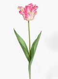 26in Long Pink Parrot Tulip, Case of 12 Decor Jamali Garden