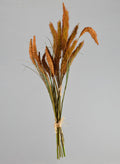 27.5in Long Brown Setaria/Onion Grass Bundle Decor Jamali Garden