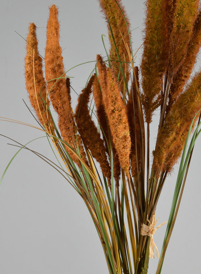 27.5in Long Brown Setaria/Onion Grass Bundle Decor Jamali Garden