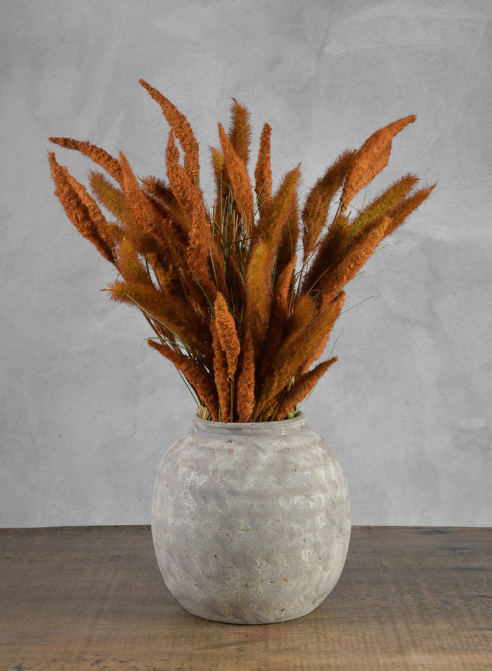 27.5in Long Brown Setaria/Onion Grass Bundle Decor Jamali Garden