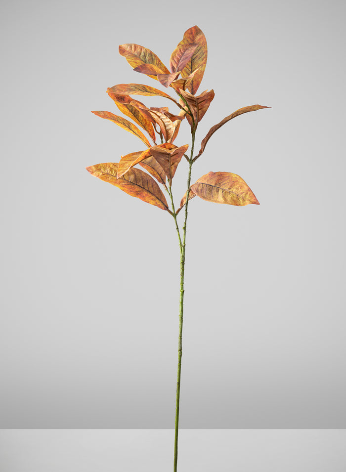27in Long Fall Magnolia Leaf Pick, Case of 12 Decor Jamali Garden