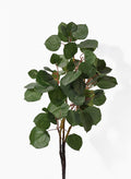 27in Long Fruit Leaf Branch, Case of 12 Decor Jamali Garden