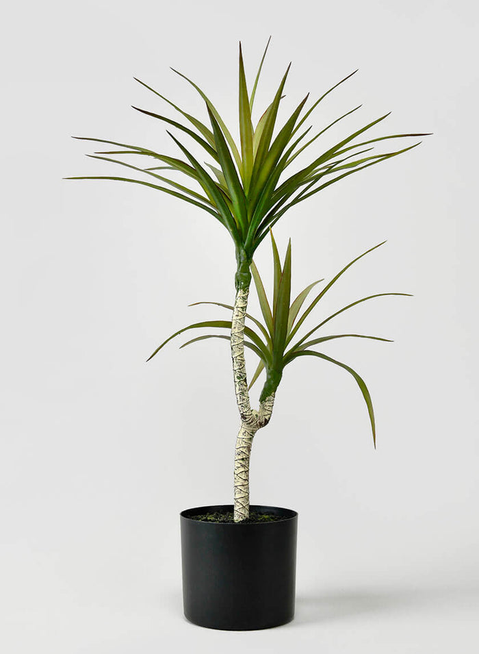 28in Tall Long Yucca Tree Decor Jamali Garden