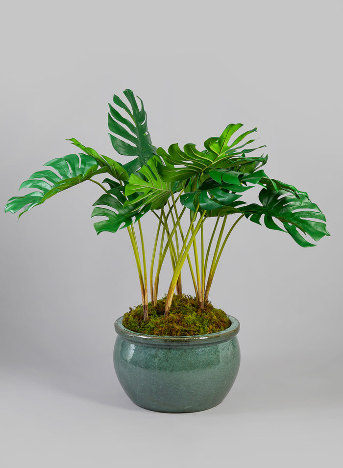 28in Tall Monstera Leaf Plant Decor Jamali Garden