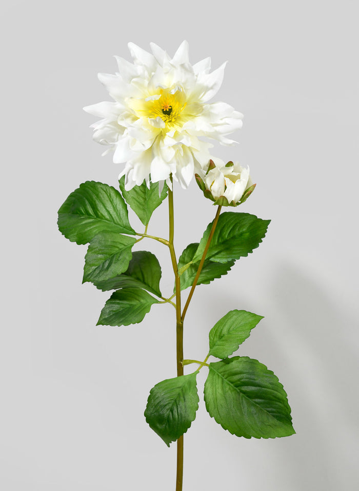 29in Long White Dahlia Stem, Case of 12 Decor Jamali Garden