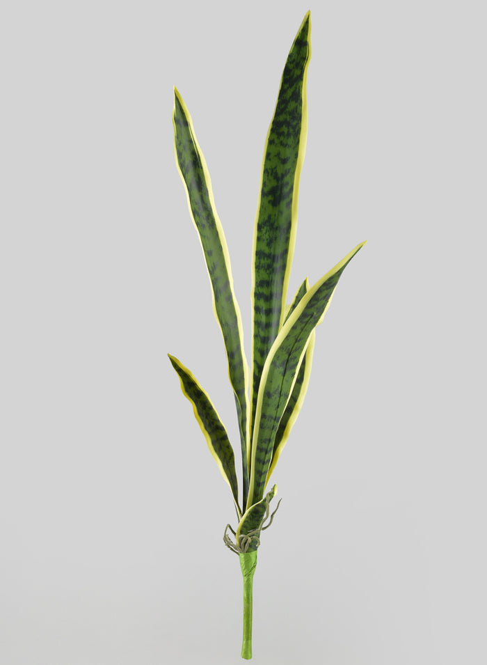 30in Long Real Touch Sansevieria Stem Pick, Case of 12 Decor Jamali Garden