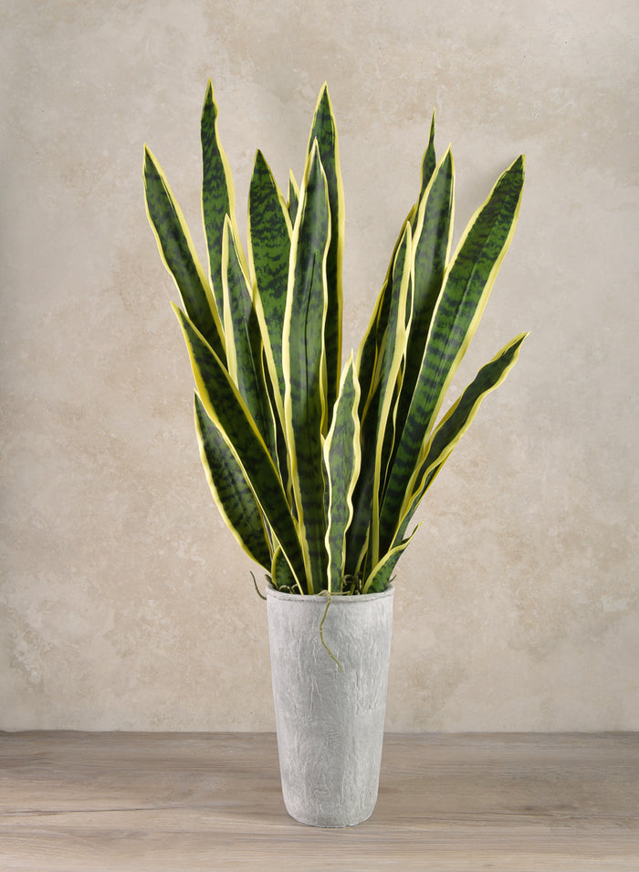 30in Long Real Touch Sansevieria Stem Pick, Case of 12 Decor Jamali Garden