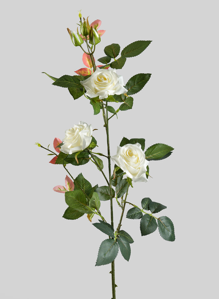 31in Long British Garden Rose Blooming Stem, Case of 12 Decor Jamali Garden