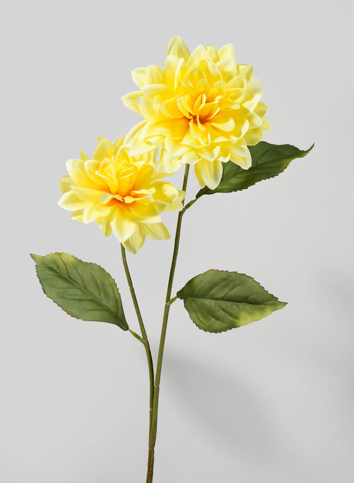 31in Long Double Yellow Dahlia Stem, Case of 12 Decor Jamali Garden