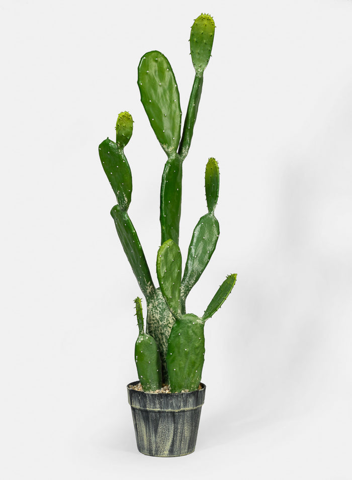 34in Long Angel Wing Cactus Plant Decor Jamali Garden