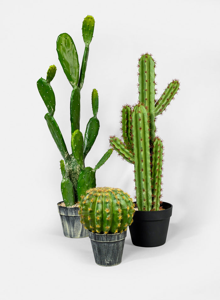 34in Long Angel Wing Cactus Plant Decor Jamali Garden