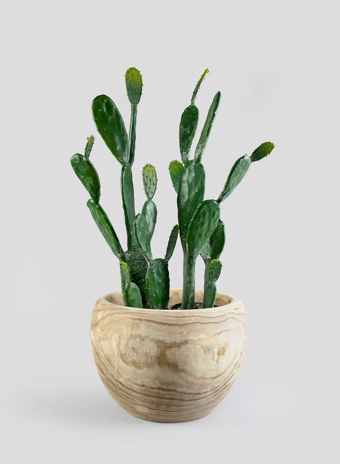 34in Long Angel Wing Cactus Plant Decor Jamali Garden